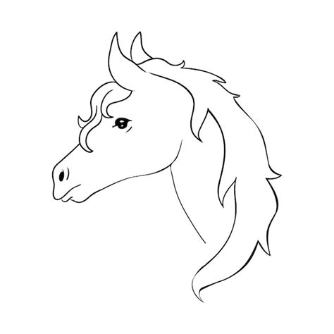 Illustration Vectorielle De Portrait De Cheval Réaliste Portrait De