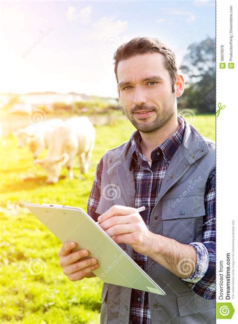 Young Attractive Farmer In A Field With Cows Stock Photo Image Of