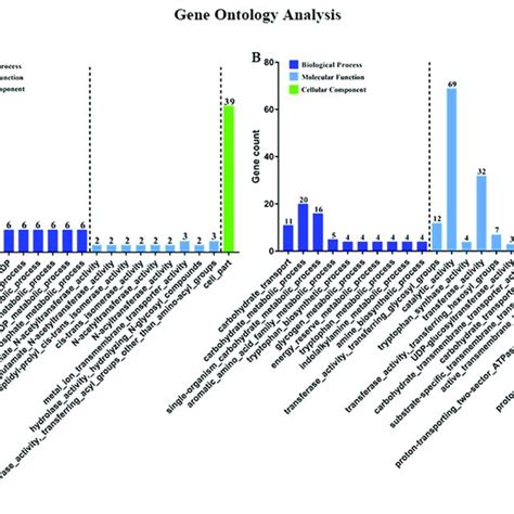 Gene Ontology GO Classification Of DEGs Genes Were Annotated In