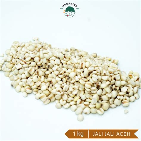 Jual Jali Jali Aceh Kg Shopee Indonesia