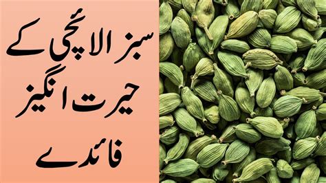 Cardamon Benefits Cardamon Benefits In Urdu Elaichi Ke Fayde Sabz