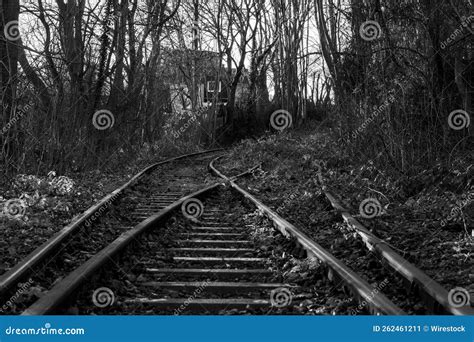 Grayscale Shot Of An Abandoned Railway Surrounded By Bare Trees In An