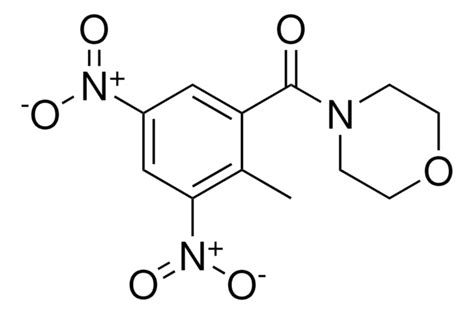 2 METHYL 3 5 DINITRO PHENYL MORPHOLIN 4 YL METHANONE AldrichCPR