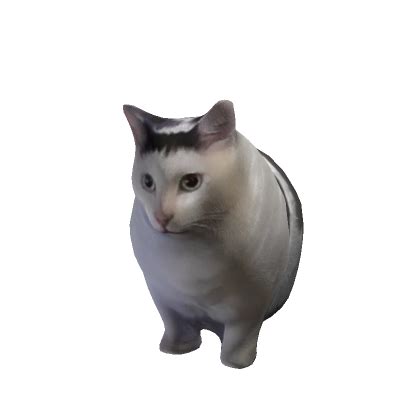 Huh Cat Costume Roblox Item Rolimon S