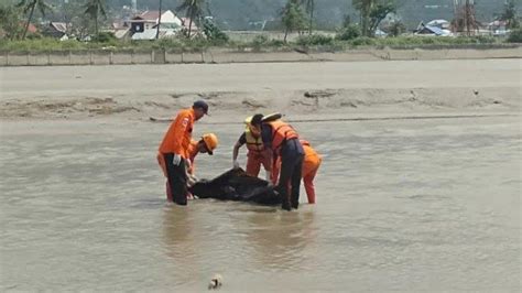 Tim Basarnas Temukan Mayat Tanpa Identitas Di Sekitaran Jembatan IV