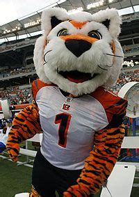 WHO DEY- My Cincinnati Bengals :) on Pinterest | Cincinnati Bengals ...