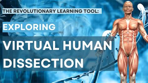 Exploring Virtual Human Dissection