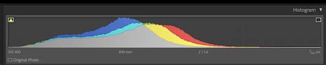 How To Use A Camera Histogram 2024 Beginners Guide