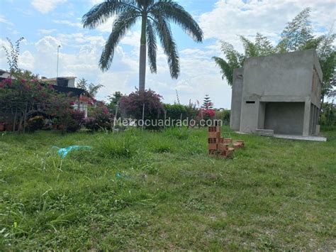 Venta De Lote O Casalote En Ginebra El Naranjal Ginebra M