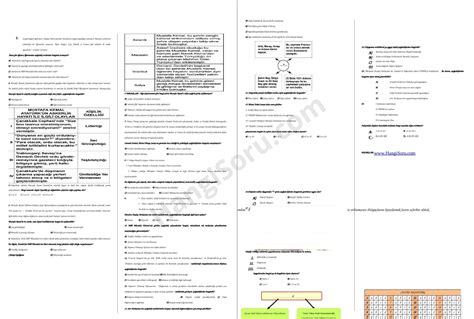 8 Sınıf İnkılap Tarihi 1 Dönem Genel Deneme Sınavı HangiSoru