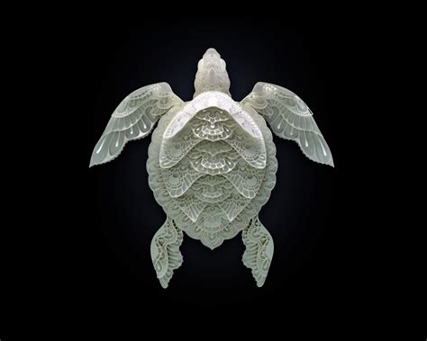 Beautifully crafted paper sculptures of endangered animals - Charlotte ...