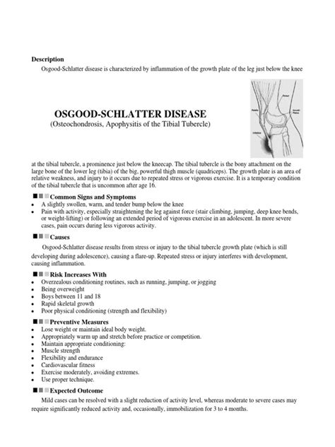 Osgood Schlatter Disease With Exercises Choc | Health Sciences | Wellness