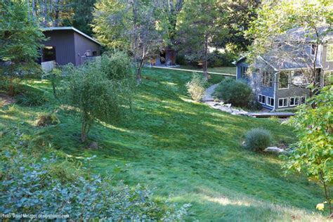 No Mow Grass Offers Alternative to High-Cost, High-Maintenance Lawn ...