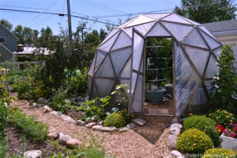 Geodesic Dome Greenhouse Garden Update Northern Homestead