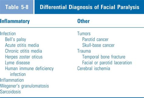 Otolaryngology: Diseases Of The Head And Neck | Basicmedical Key