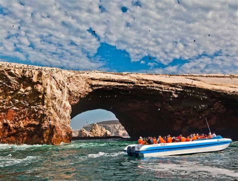 Full Day Paracas E Islas Ballestas Tour Ica