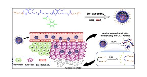 A Novel NQO1 Enzyme Responsive Polyurethane Nanocarrier For Redox