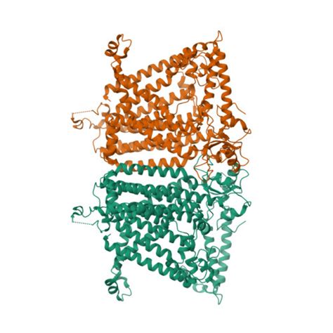 RCSB PDB 8XRY Cryo EM Structure Of OSCA3 1 1 1ver Y367N G454S Y458I