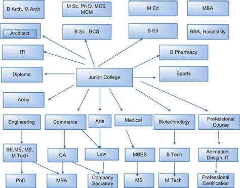 Education Options Flowchart For Indian Student Education