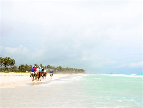 20x Best excursions in Dominican Republic: day trips and tours + prices