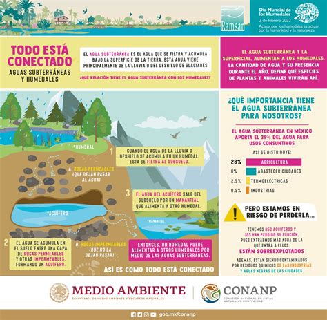 Todo Esta Conectado Aguas Subterr Neas Y Humedales Infograf A