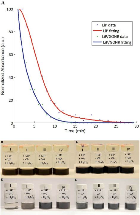 A Enzyme Kinetics Of Lignin Peroxidase LiP With Without Oxidized