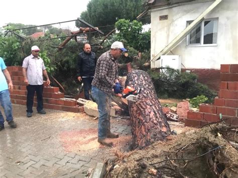 Fırtına yüzünden 50 yıllık ağaç yan evin terasına düştü Son Dakika