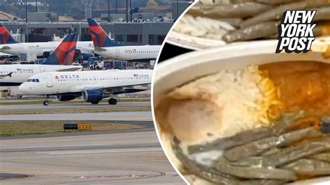 Delta Cancels Meal Service After Fda Flags ‘food Safety Issue News