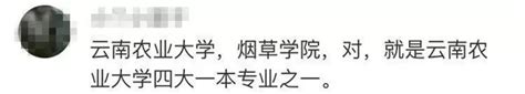 云南农大回应“学生上课集体抽烟”：是感官评析课荔枝网新闻