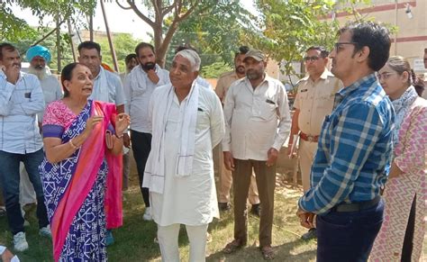 श्रीगंगानगर गुलाबी सुंडी कीड़े से बर्बाद हुई कपास और नरमा की फसलें मुआवजे के लिए किसानों का