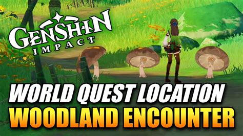 Genshin Impact Woodland Encounter Quest Location Youtube