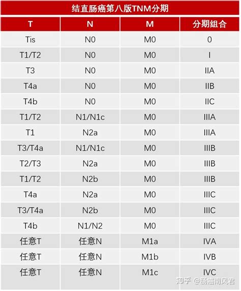 教你三分钟读懂肠癌病理报告，建议收藏！ 知乎