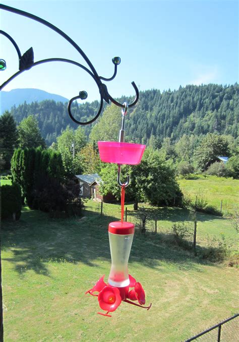 Ant Moat for a Hummingbird Feeder : 11 Steps - Instructables