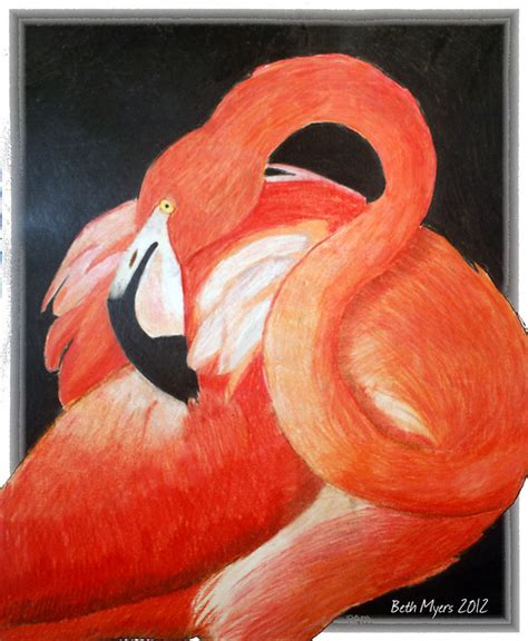 Colored Pencil Flamingo Flickr Photo Sharing