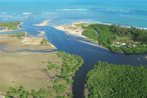 Qué Es La Desembocadura De Un Río Tipos De Desembocaduras