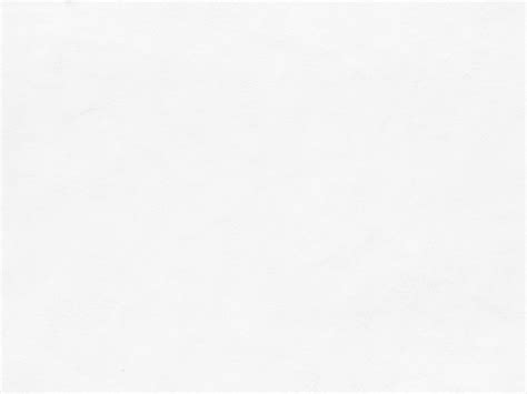 solid white background images infoupdateorg