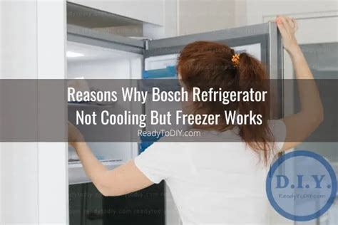 Bosch Refrigerator Not Cooling Ready To Diy