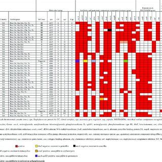 Antibiotyping And Molecular Characterization Of S Aureus Isolates From