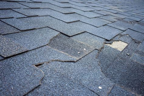 6 Tell-Tale Signs of a Leaky Roof & How To Fix Them - Cerdas