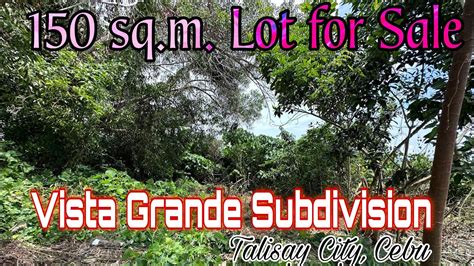 Sq M Lot For Sale Vista Grande Subdivision Talisay City Cebu