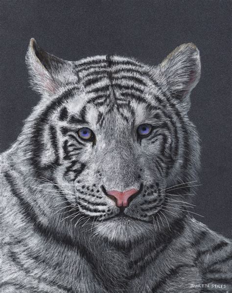 White Tiger Art Printable Tiger Art White Tiger Portrait - Etsy