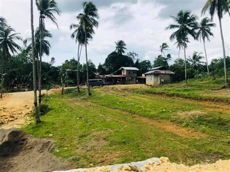 11 Hectares Farm Lot Pwede Matukuran Dayon Philippines Buy And Sell