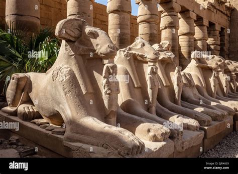 Lamb Alley Karnak Temple Columns With Hieroglyphs Karnak Temple Is