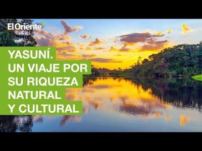 El Yasuní Un viaje por su riqueza natural y cultural