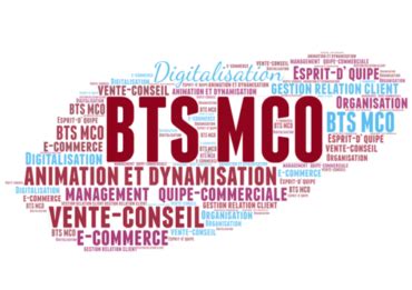 Fiche D Activit En Bts Mco Guide Complet Mod Le