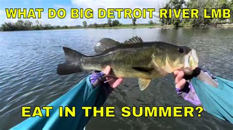 How To Catch Huge Largemouth Bass In The Detroit River Youtube