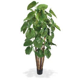 Alocasia Calidora G Ant Arbre Artificielle Deluxe De Cm Maxifleur