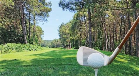 Golf Sahalarını Imara Açtılar 1250 Ağacı Kesip Golf Saha Yapacaklar