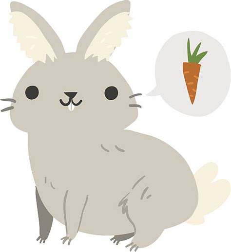 Anime Pet Bunny