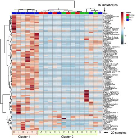 Heatmap Of Unsupervised Hierarchical Cluster Analysis Depicting The 97